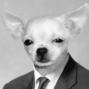 Meet your Posher, Pablo